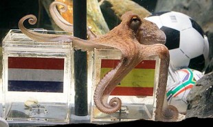 Thus spake Paul the Octopus