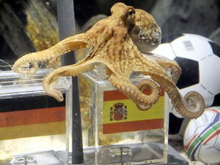 Germany to Octopus: Say it isn’t so!