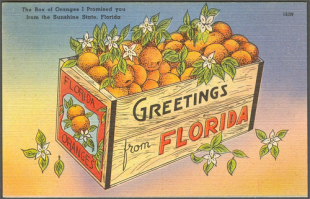 Oranges from Florida, Slim pickings for WPS players in Europe, Suarez fallout, more news