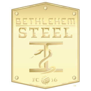 Photo courtesy of Bethlehem Steel FC.  "Go gold" on social media by using this picture as your profile icon to support Pediatric Cancer Foundation of Lehigh Valley's efforts.